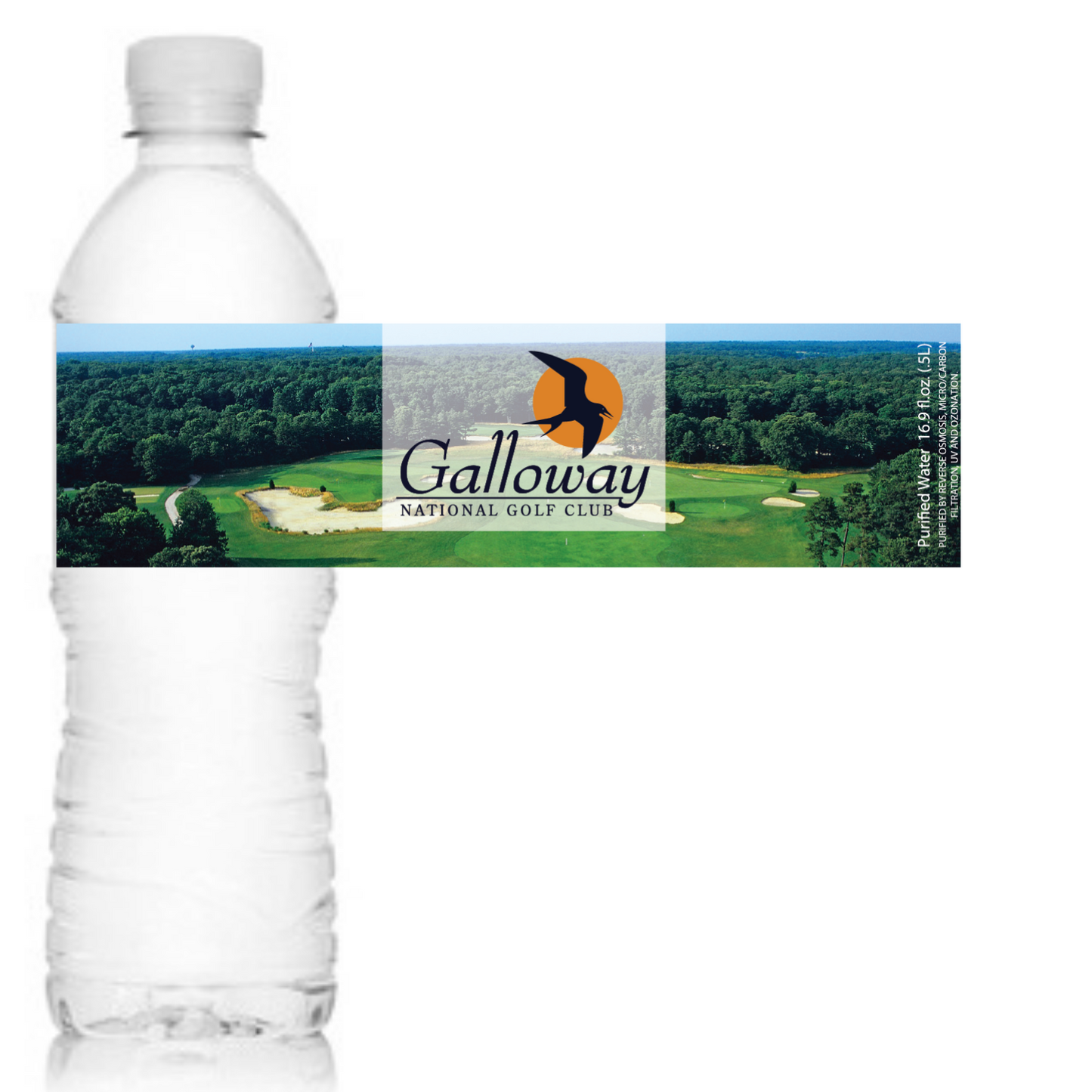 16.9 oz standard bottle with full wrap
